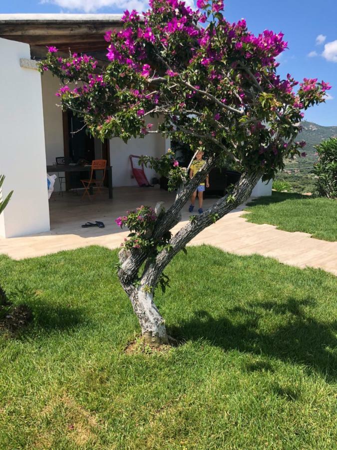 Villa Alba Esclusiva Villa Con Piscina A Sfioro E Vista Mozzafiato Sul Mare Cugnana Exterior photo